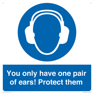 Mandatory: You only have one pair of ears! Protect them